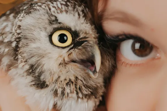 קזינו פלאס אוף צ'אנס תמיכה